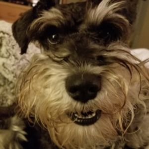 Meet your Posher, Kathy